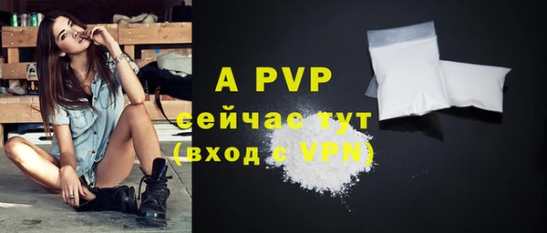 ешки Новозыбков