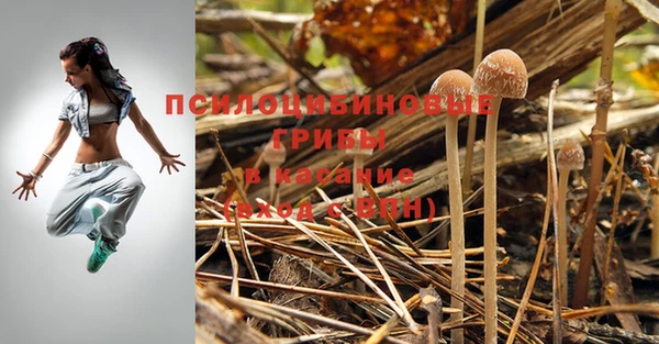 трава Новокубанск