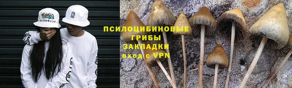 трава Новокубанск